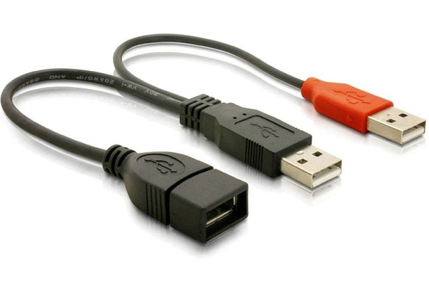 DeLock USB Daten- und Powerkabel
