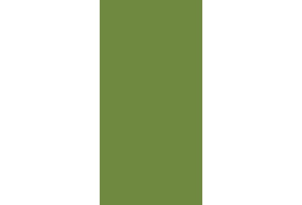 Duni Zelltuchservietten leaf green 33 x 33 cm 1/8 Buchfalz 250 Stck