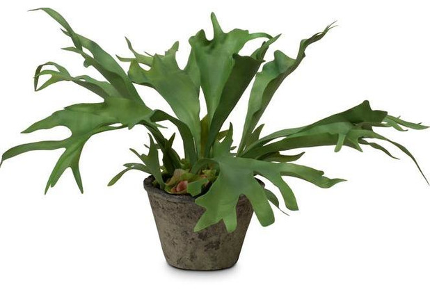 fleur ami Staghorn Kunstpflanze 55 cm