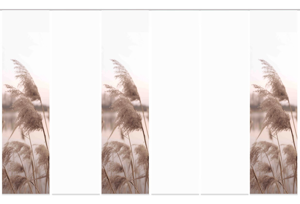 Home Wohnideen 6er Set Schiebewand Deko Digitaldruck Trawy Natur 245x60 cm