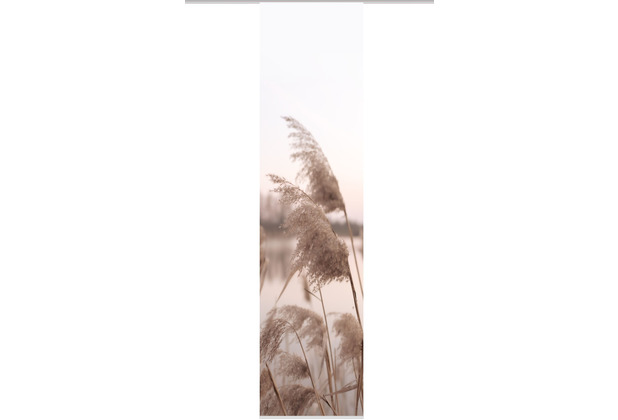 Home Wohnideen Schiebevorhang Dekostoff Digitaldruck Trawy Natur 245x60 cm