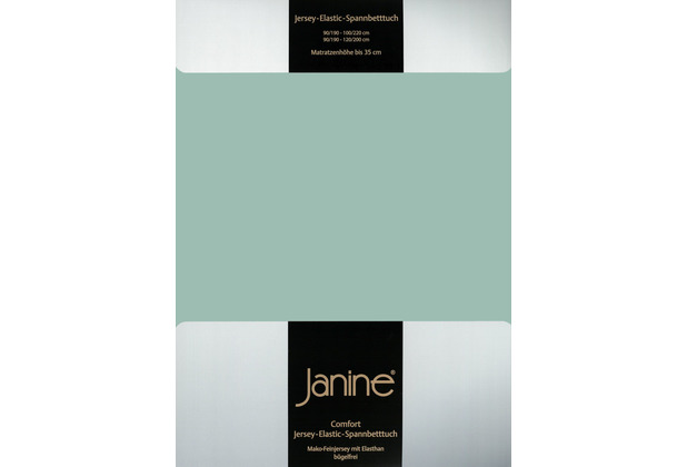 Janine Spannbetttuch ELASTIC-JERSEY Elastic-Jersey rauchgrn 5002-36 200x200