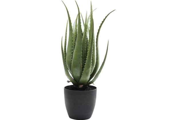 Kare Design Deko Pflanze Aloe 69cm