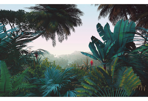 Komar Vlies Fototapete - Jungle Morning- Größe 400 x 250 cm (Breite x Höhe)