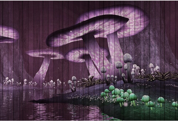 Livingwalls Fototapete Walls by Patel Motiv Tapete in Holzoptik Fantasy grün violett Vliestapete glatt 4,00 m x 2,70 m