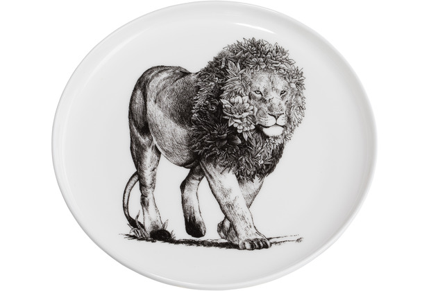 Maxwell & Williams MARINI FERLAZZO Teller 20 cm, African Lion, Premium-Keramik, in Geschenkbox