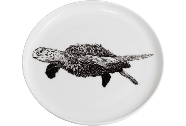 Maxwell & Williams MARINI FERLAZZO Teller 20 cm, Green Sea Turtle, Premium-Keramik, in Geschenkbox