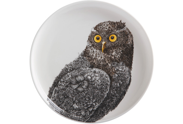 Maxwell & Williams MARINI FERLAZZO Teller 20 cm, Owl, Premium-Keramik, in Geschenkbox
