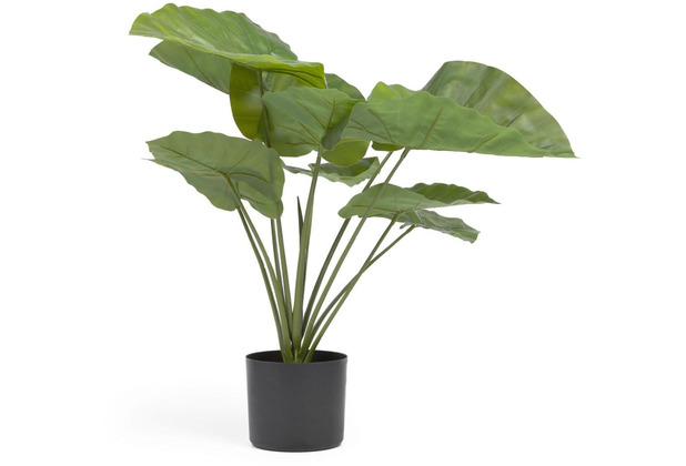 Nosh Alocasia Odora Kunstpflanze mit Topf schwarz 57 cm