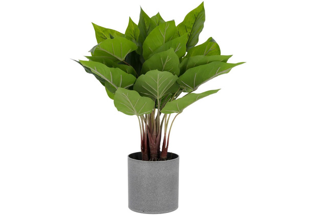 Nosh Anthurium Kunstpflanze 50 cm