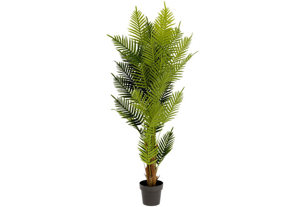 Nosh Kunstpflanze Farnpalme 150 cm