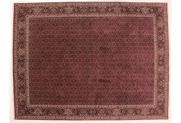 Oriental Collection Bidjar Teppich Bukan 299 x 398 cm