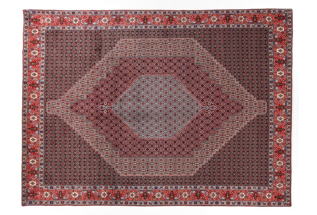 Oriental Collection Senneh 248 cm x 345 cm