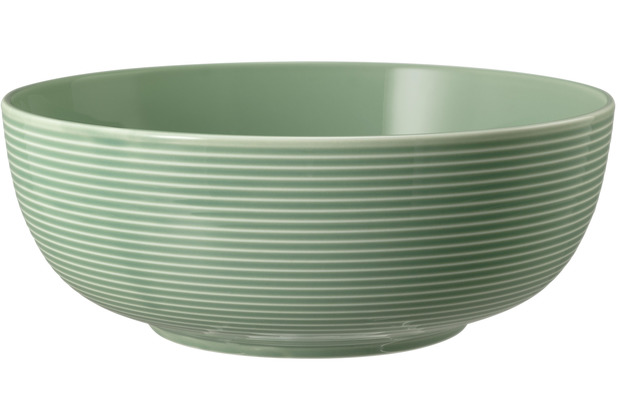 Seltmann Weiden Beat Foodbowl 20 cm Color Glaze Salbeigrün